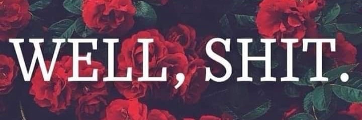 SaltyShan's profile banner image
