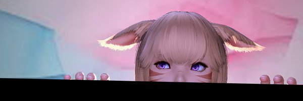 CatNotCar Profile Banner