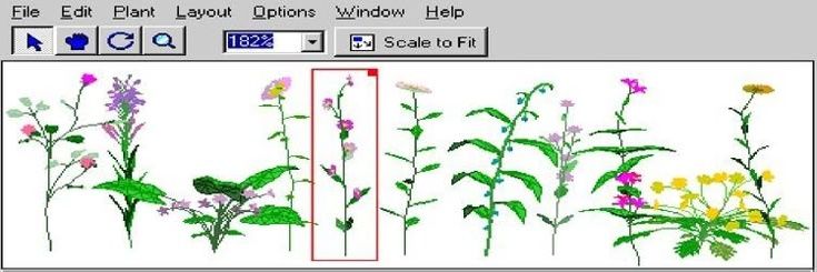 sai 🐙 +｡♪ banner