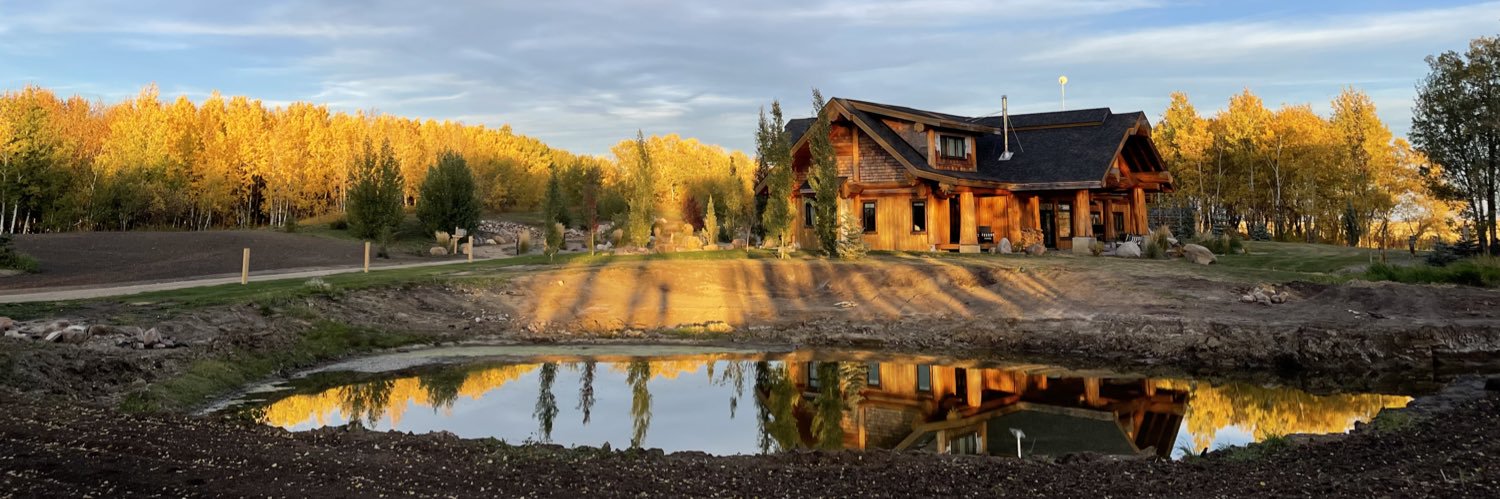 Wendy Plandowski banner