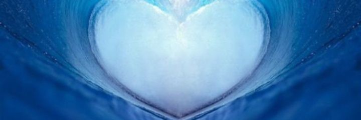 gratefullydeadi's profile banner image