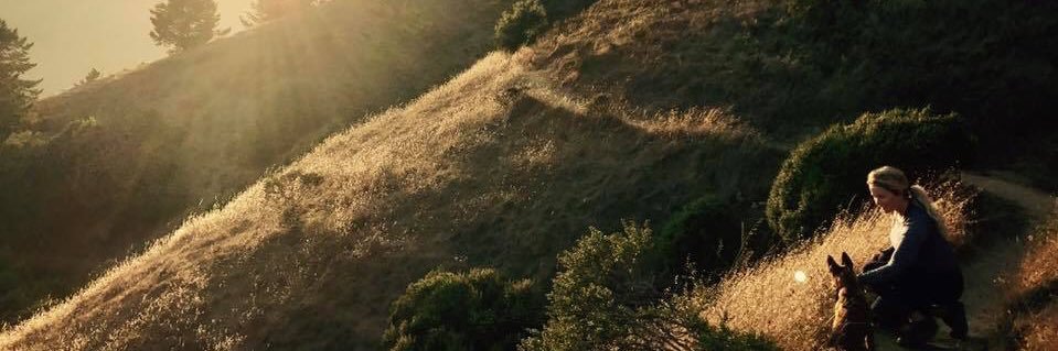 LizaDunning's profile banner image