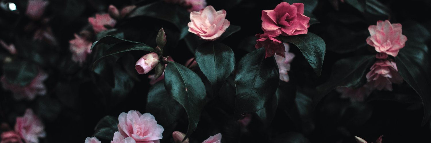 teganreyes's profile banner image
