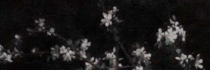 เซียน banner