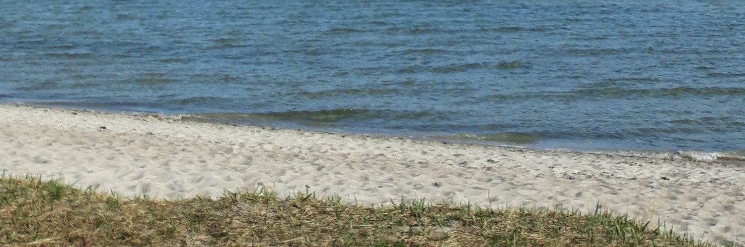 theped's profile banner image