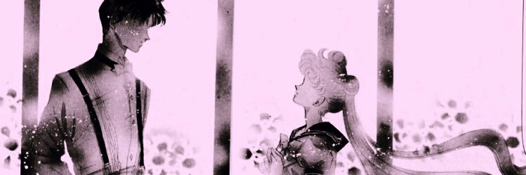 VivaMeli's profile banner image