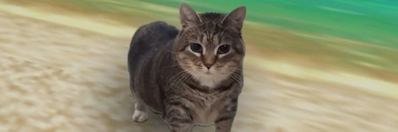 ui_a_ui_oi_Sol's profile banner image