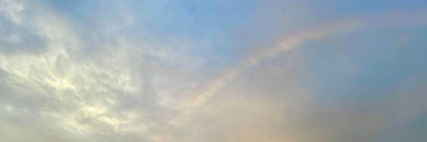 Cinnamonrollnj's profile banner image