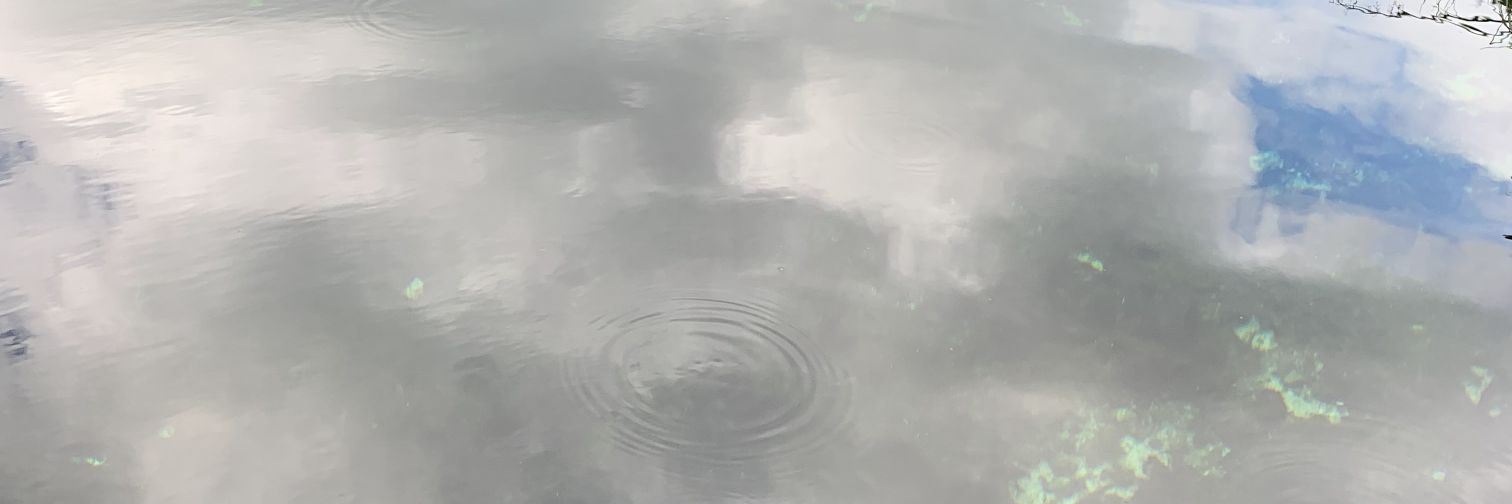 JanVogtF's profile banner image