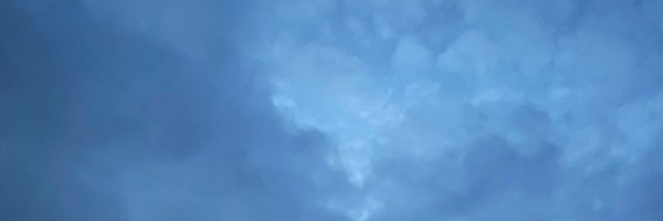 tobinwtang Profile Banner