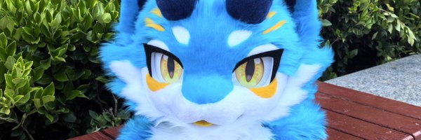 Fursuit_peng Profile Banner