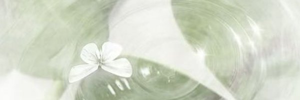 RynPianissimo Profile Banner