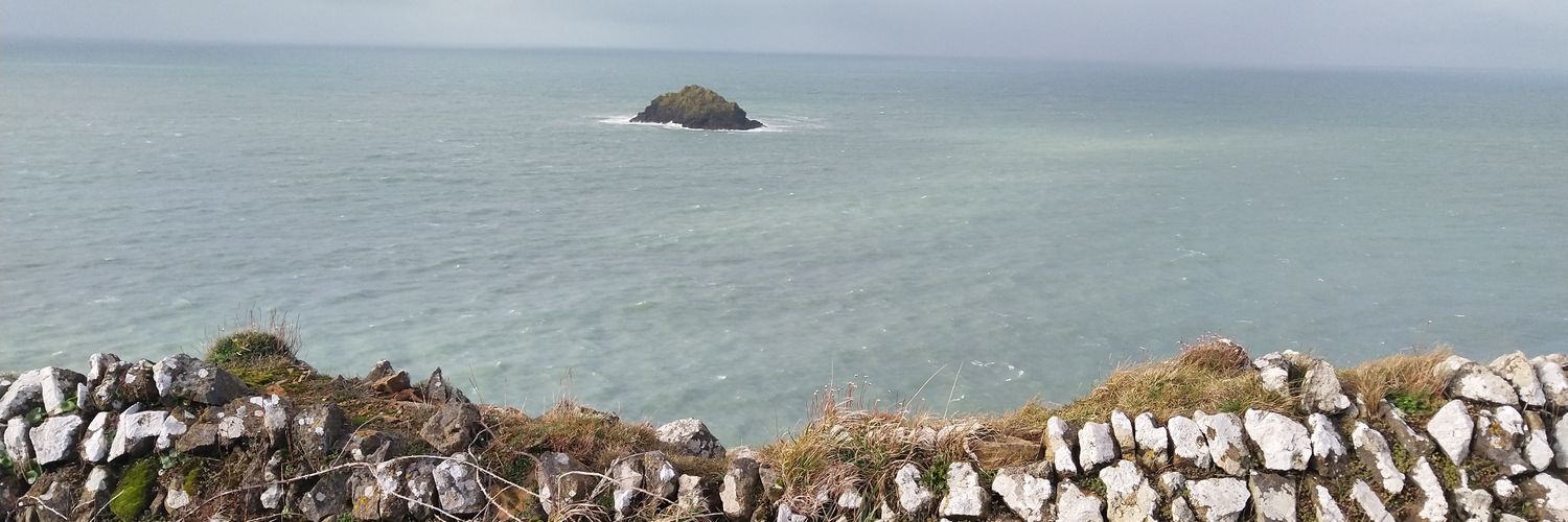 CharlieBush's profile banner image