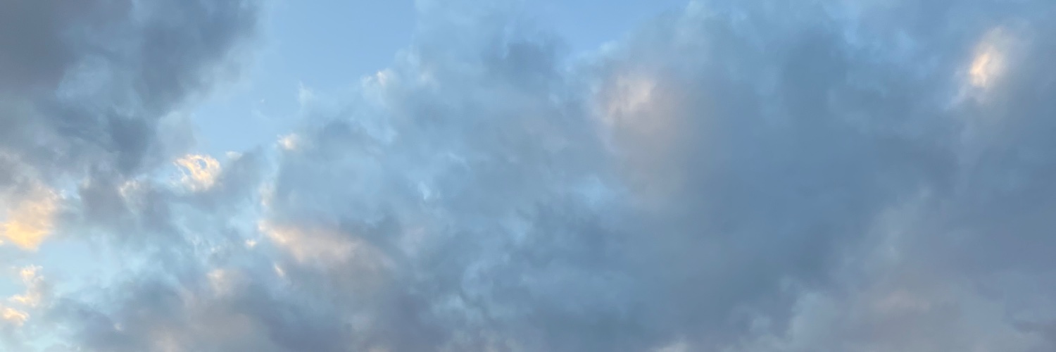 steven banner