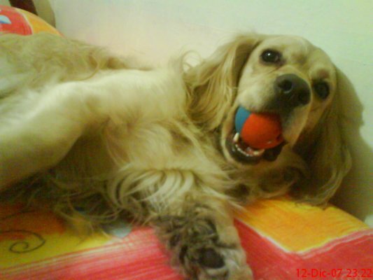 flako_aa's profile banner image