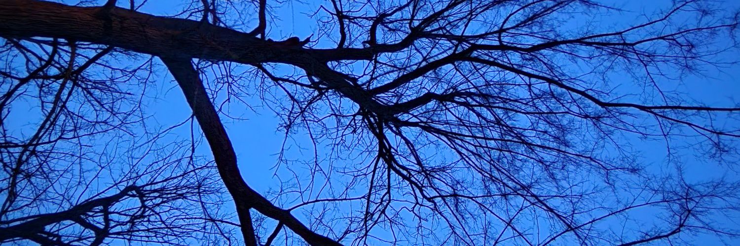 curiouscorinne's profile banner image