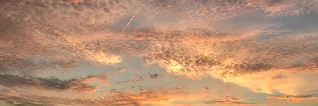JillDWright's profile banner image