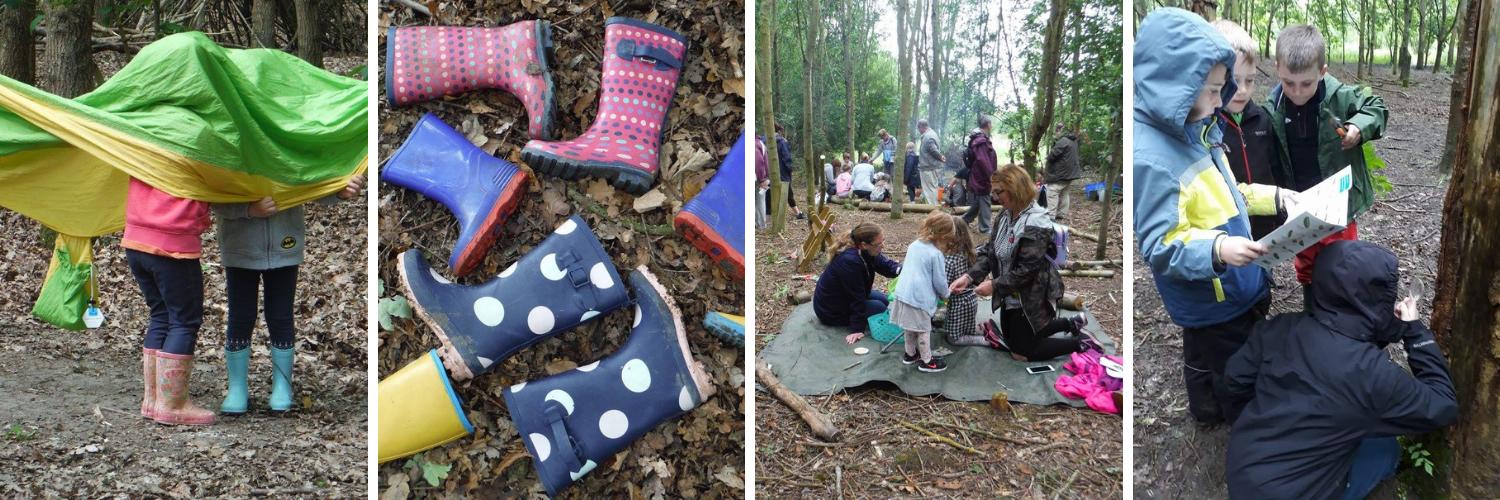 MVForestSchool's profile banner image