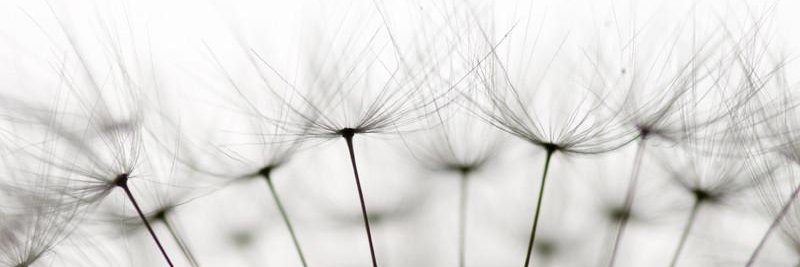 Abbie Bennett banner