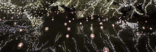 _aly1x Profile Banner