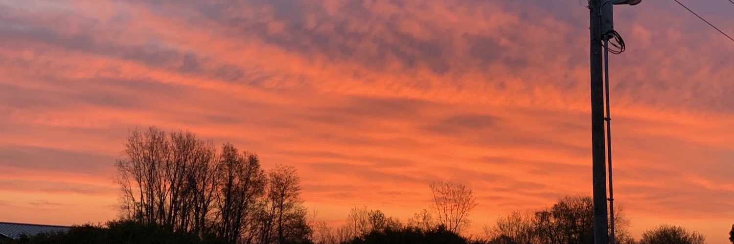 AmyM1977's profile banner image