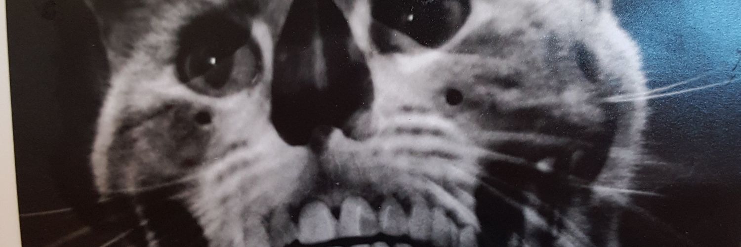 Scary Carrie👀 banner