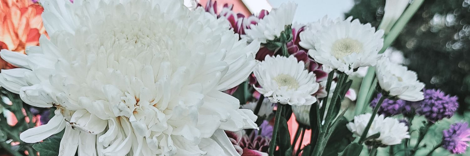 diansuriadi's profile banner image