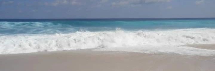 sariisya_'s profile banner image