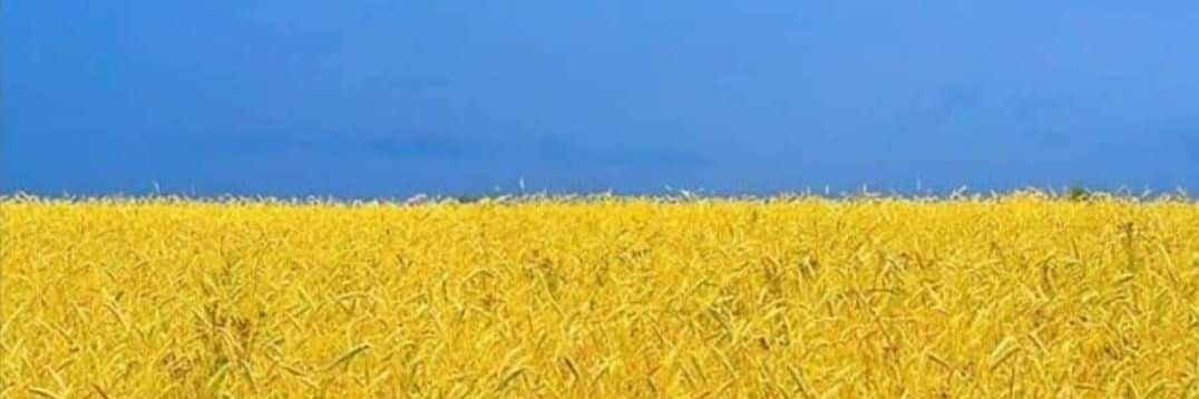 vmcowboy's profile banner image