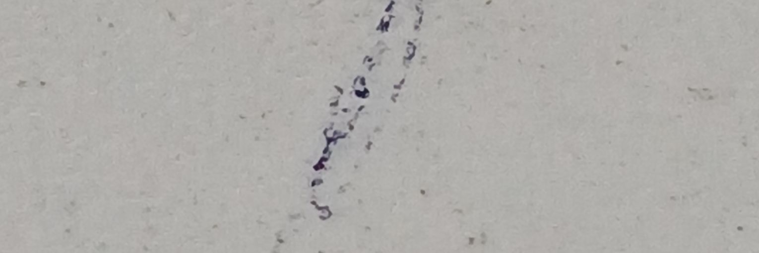salsisemsal's profile banner image