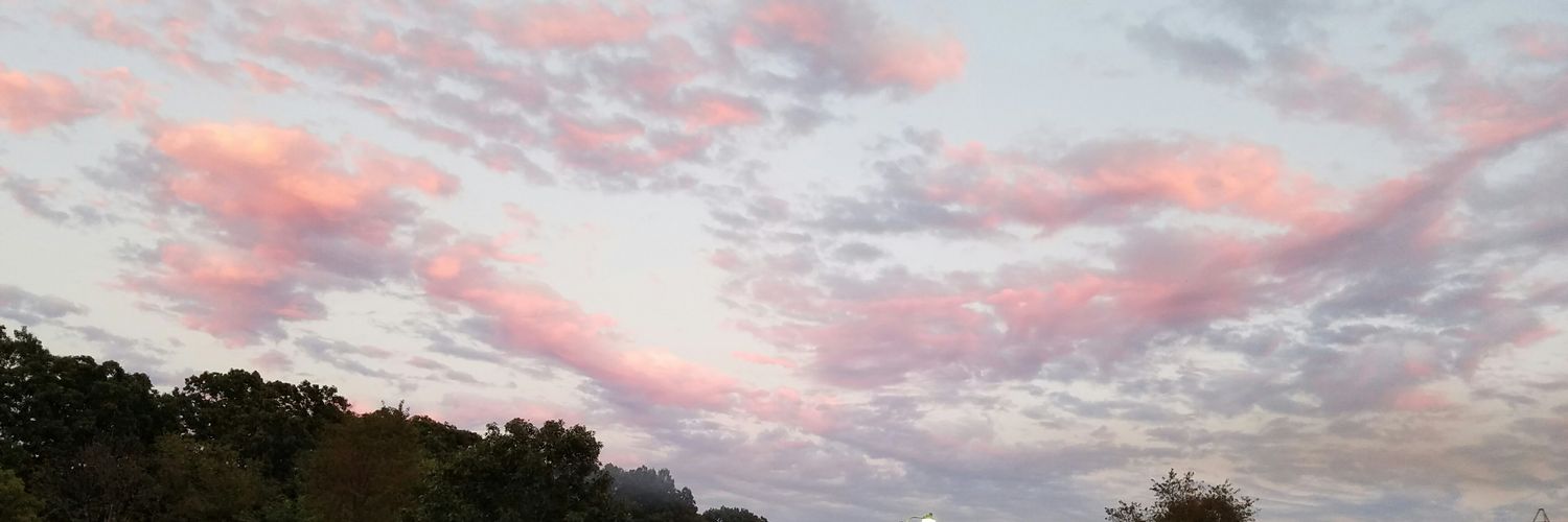 amanda7923's profile banner image