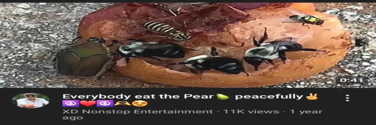 🧠🐛🖍️ banner