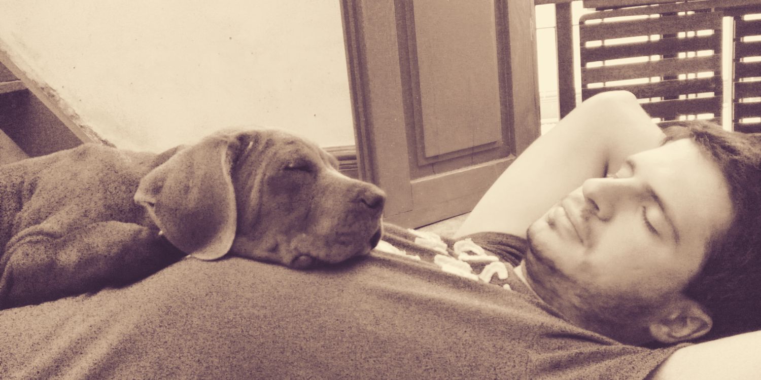 leandro_tacon's profile banner image