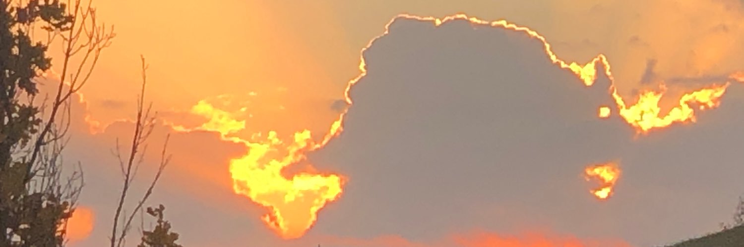 ianbacque's profile banner image
