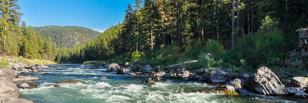 DangerrWildmann's profile banner image