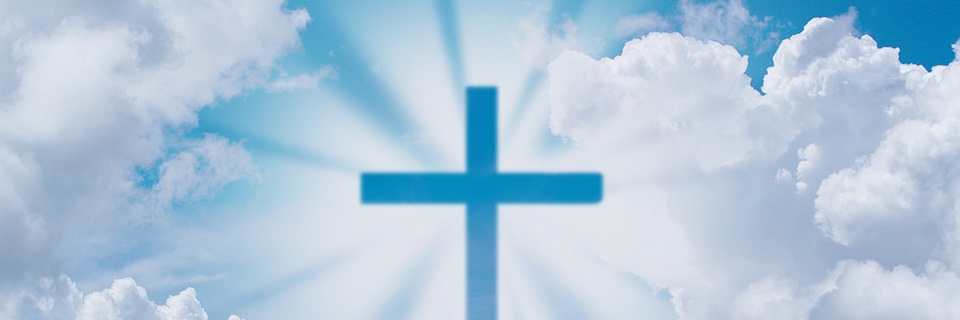 dbolislife10's profile banner image