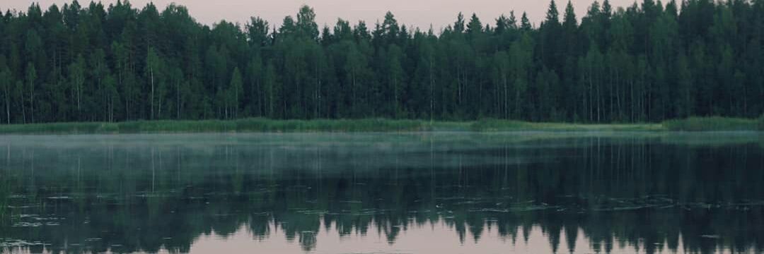 morgonvagen's profile banner image