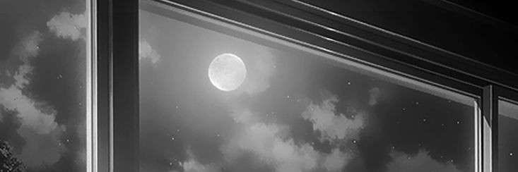 noctivr's profile banner image