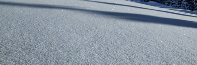SnaiceOne's profile banner image