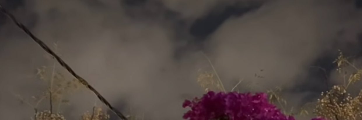 كود خصم نون نمشي فوغا كلوسيت حصري كوبون ستايلي banner