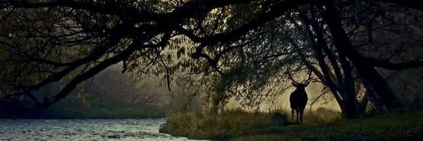 MusedByStars Profile Banner