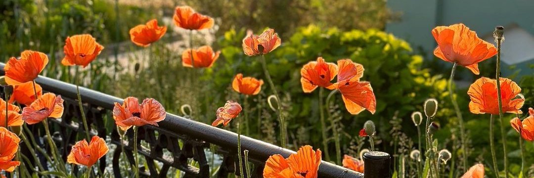 d_1329's profile banner image