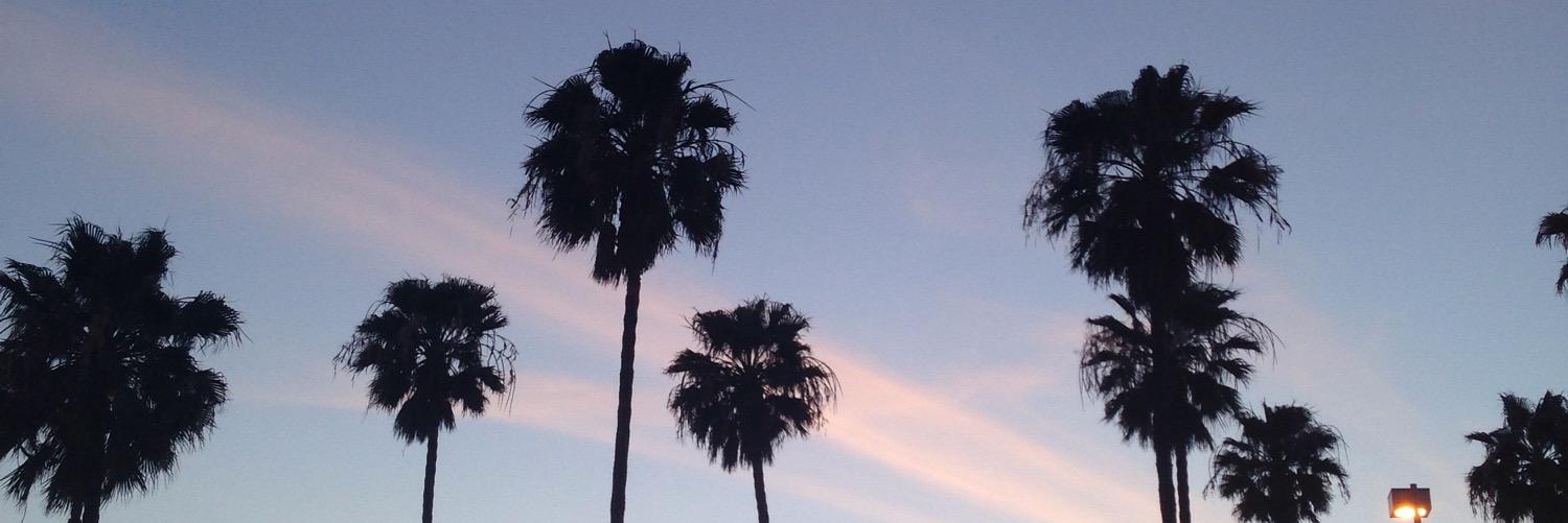 rebbiebrass's profile banner image