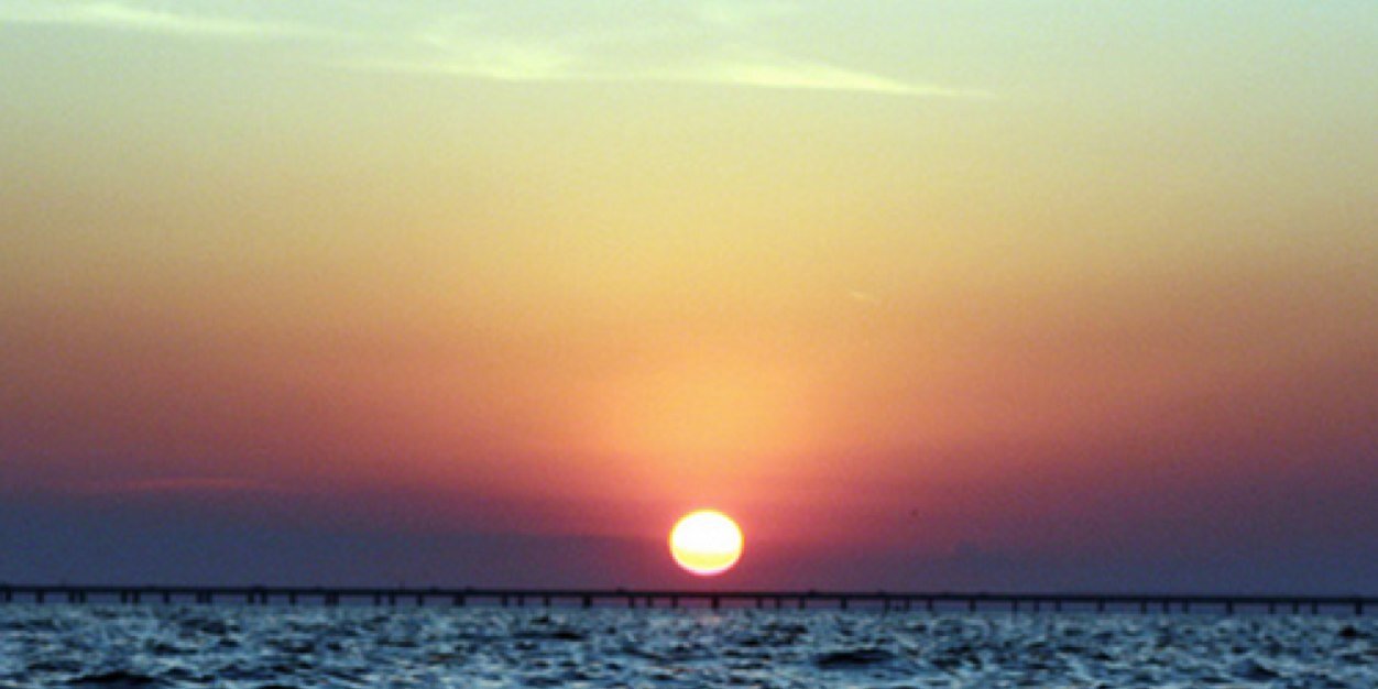 Wizdome Bunitall banner