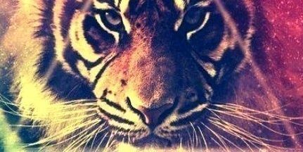 vasay9543's profile banner image