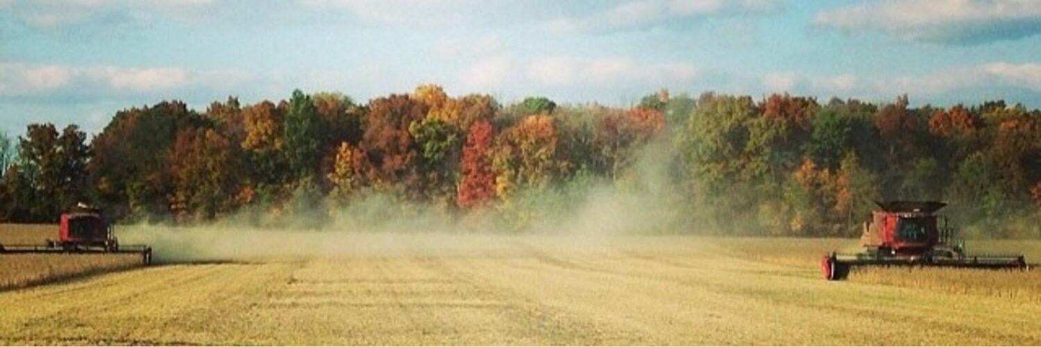 karilynnroush's profile banner image