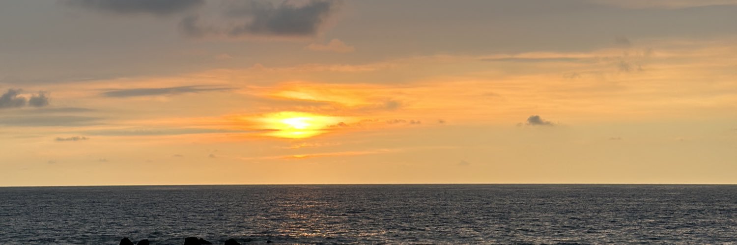 Mikescorpi's profile banner image