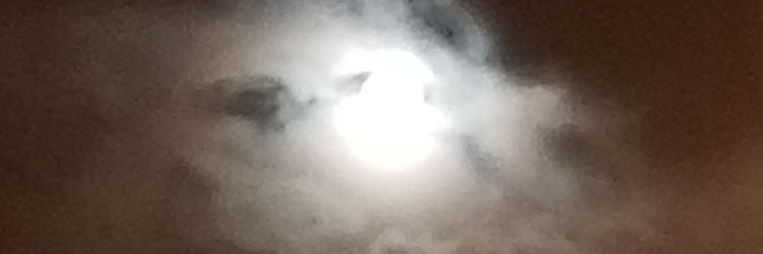 TaraGarnerCD's profile banner image