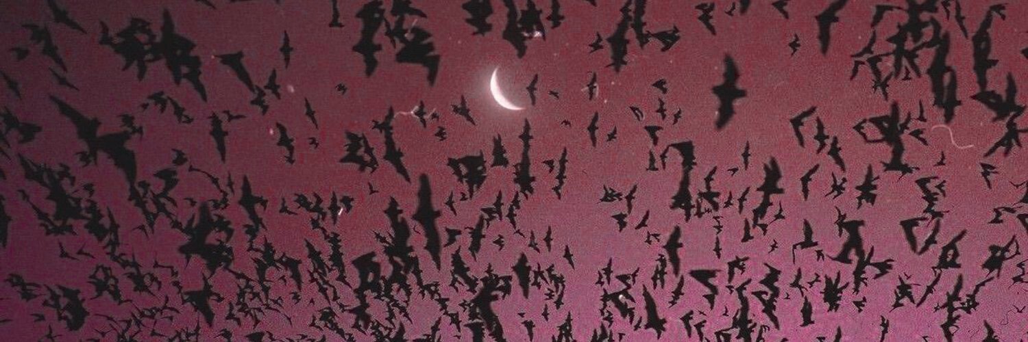 𝔇𝔢𝔩𝔦𝔠𝔞𝔱𝔢 𝔱𝔥𝔢 ℭ𝔲𝔯𝔰𝔢's banner