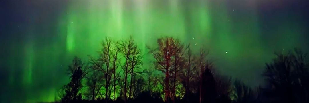 anneberner74's profile banner image